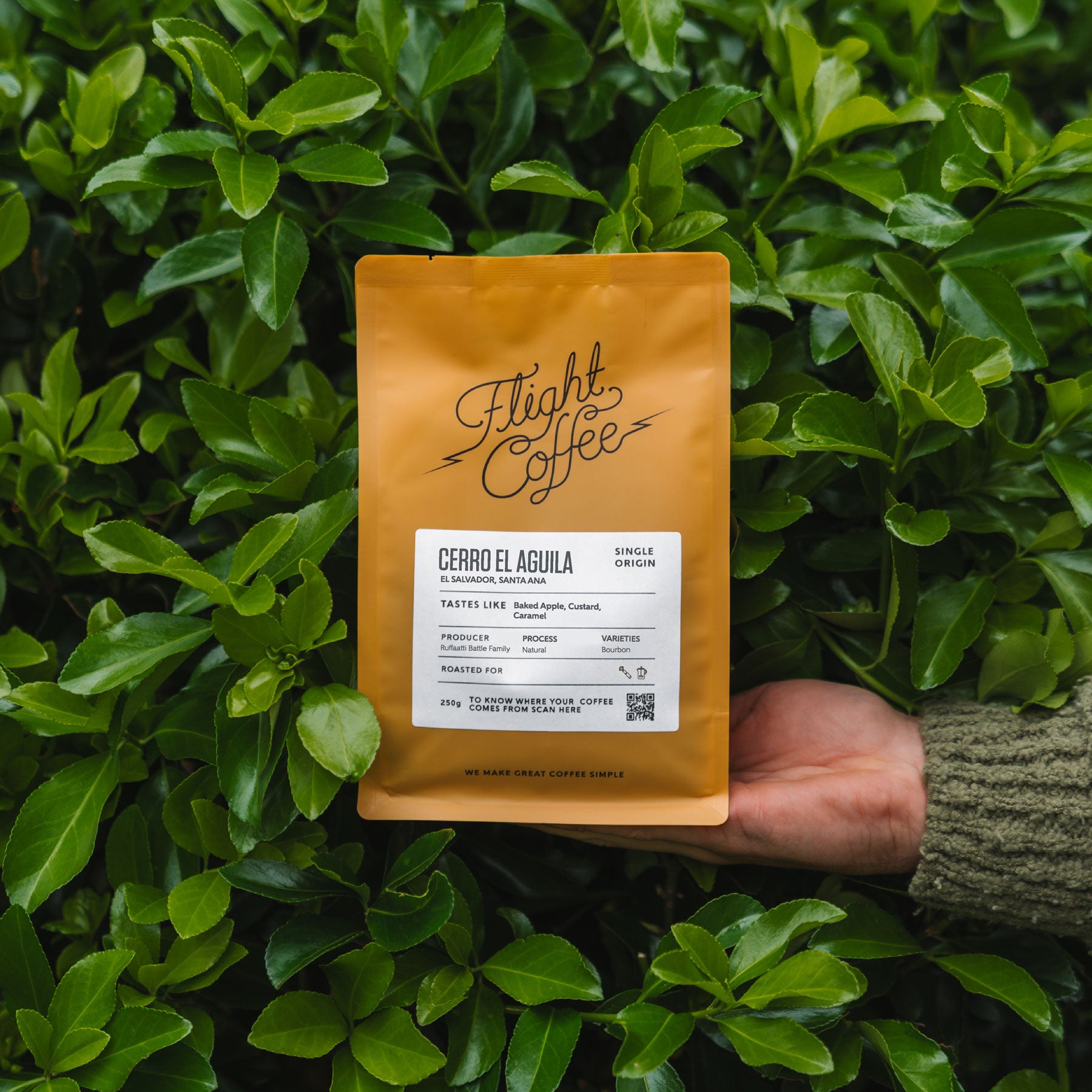 Single Origin Taster Pack - save 15%