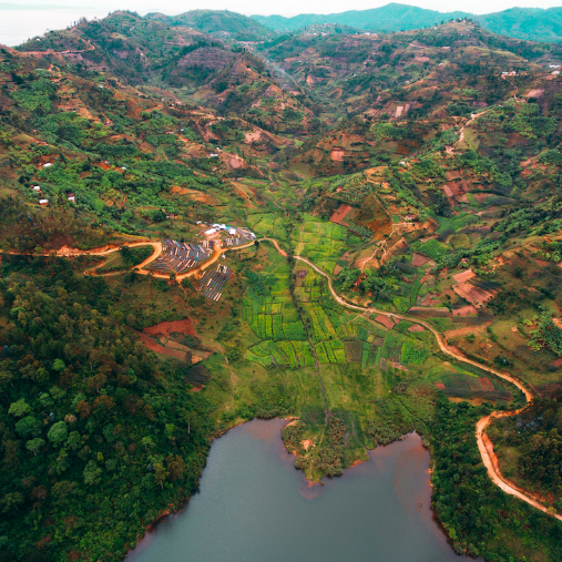 Rwanda - Kilimbi - Natural